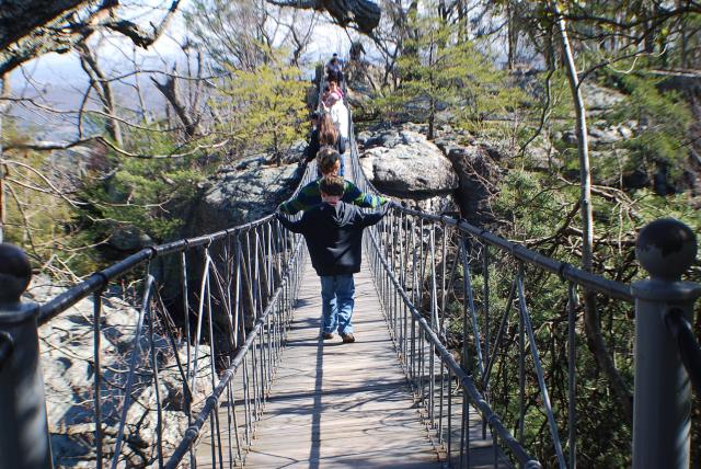 The hanging bridge