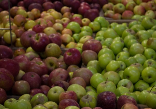 Various Types of Apples 