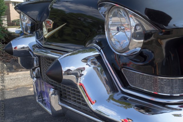 The Lights are Amazing