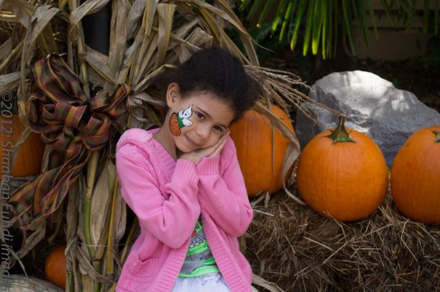 Pumpkins Festival Stone Mountain, GA