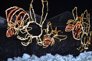 Magical Lights at the Atlanta Botanical Garden